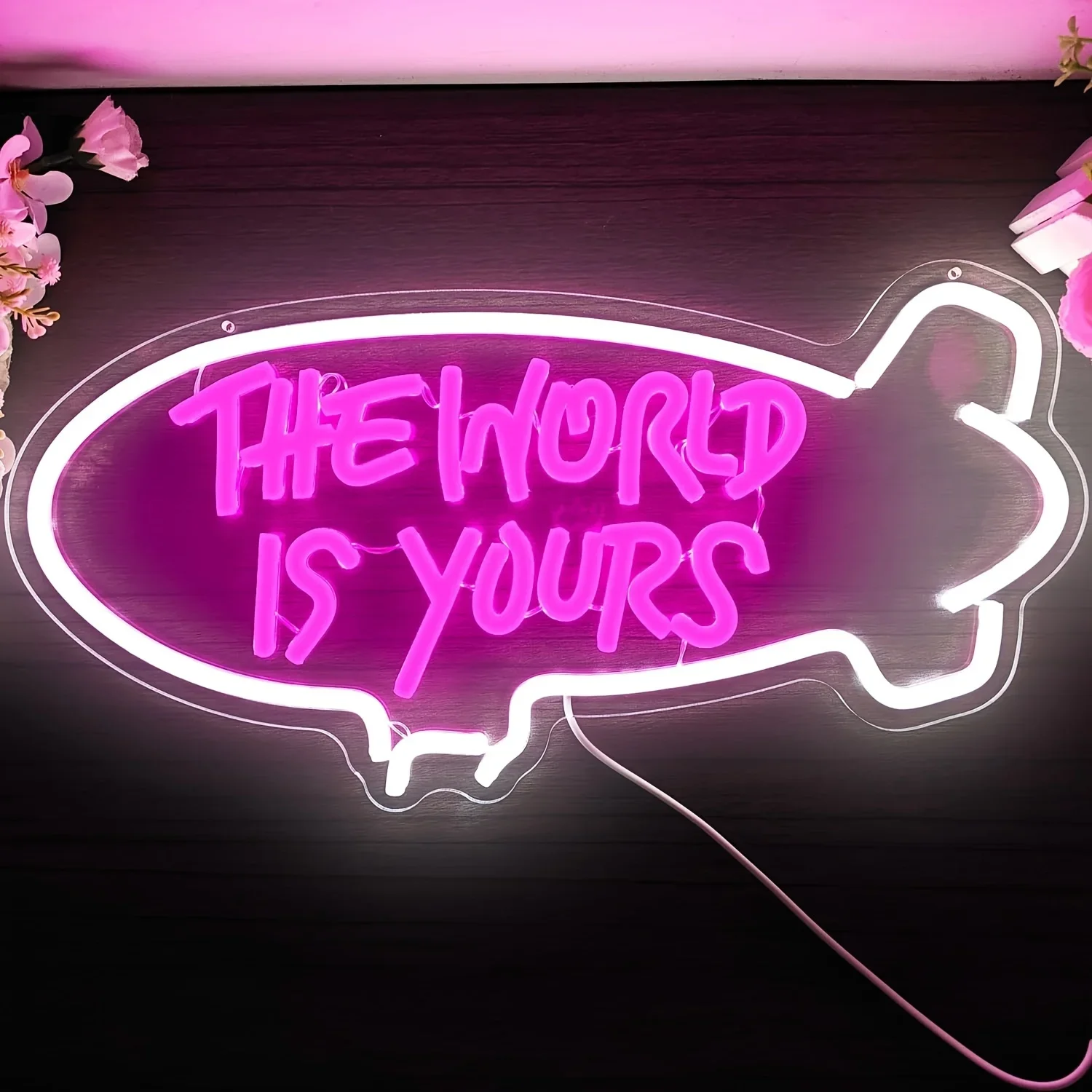Outdoor Lighting For Your Home - Insegna al Neon 'The World Is