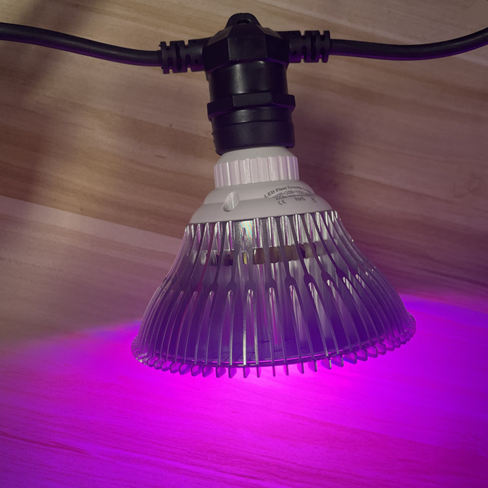 Cavo LED da 10 m, impermeabile - Outdoor Lighting And Landscape recensione e prezzo