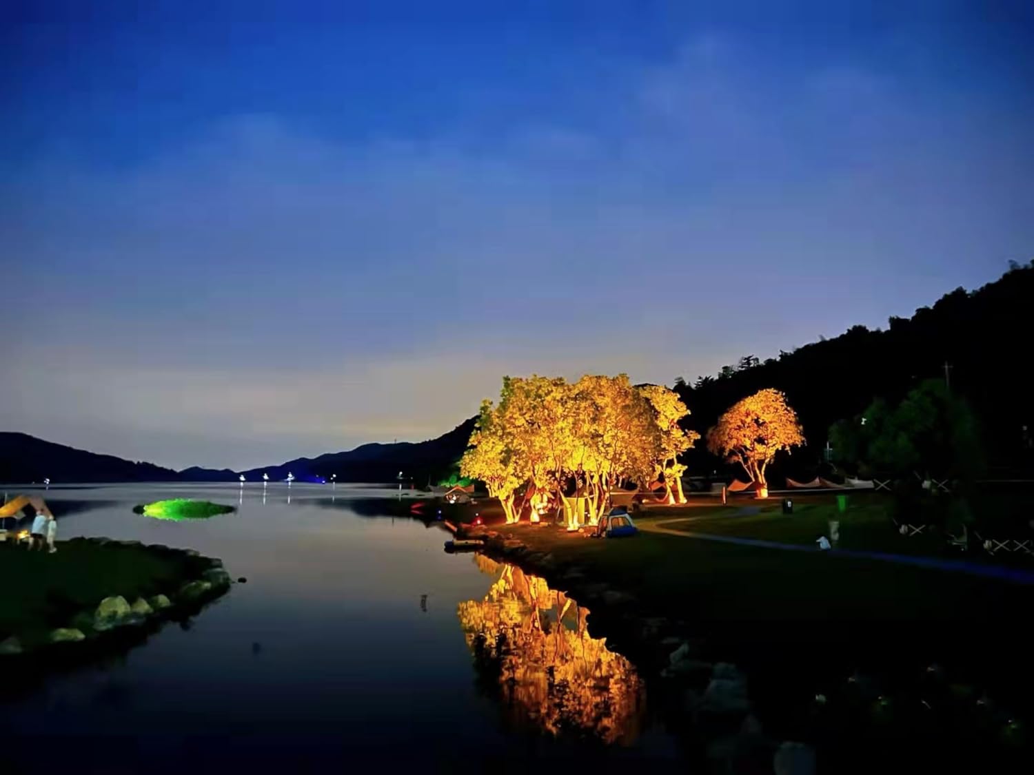 Luce Solare a Forma di Palma,  - Outdoor Lighting Wireless recensione e prezzo